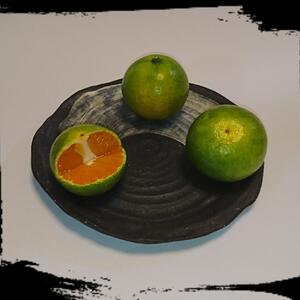 和歌山限定新品種‼️極早生みかん❗️【ＹＮ２６】 ５キロ Ｓサイズ