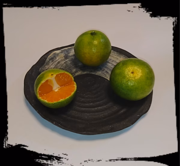 和歌山限定新品種‼️極早生みかん❗️【ＹＮ２６】 ５キロ  Ｓサイズ