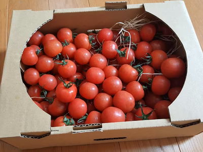 みんなの投稿の画像