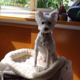 くだもの大好き