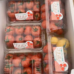 シーズン終了まであと少し！欲張りプチぷよ2セット