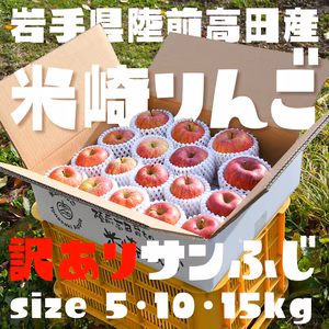 【米崎りんご】訳あり「サンふじ」