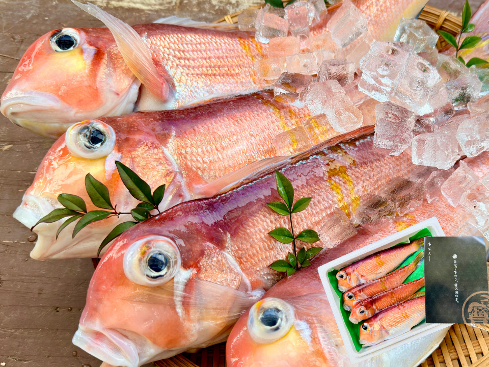 小さめ】ふっくら上品な高級魚アマダイ｜漁師直送｜甘鯛の商品詳細