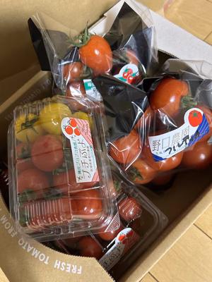 みんなの投稿の画像