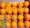 有田みかん⭐︎ 小粒・小玉サイズ　［2kg/5kg/10kg］