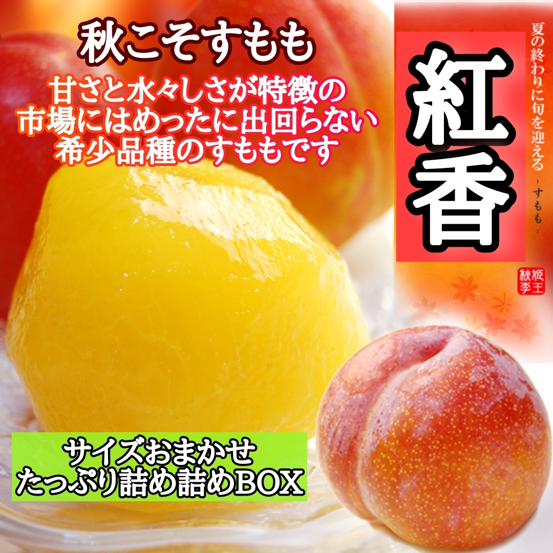 希少品種の幻のすもも 水々しさと甘さが特徴のすもも 紅香 農家漁師から産地直送の通販 ポケットマルシェ