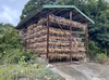 【淡路島産玉ねぎの王様】玉ねぎの王様　ターザン（5キロ）