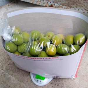 送料込み。大梅、レターパックに入る分の約2.6kg。23日まで