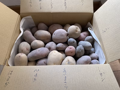 みんなの投稿の画像