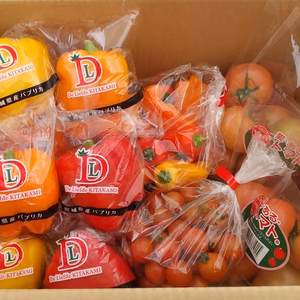 【１か月間限定】選べる！パプリカ×トマトセット【お野菜ギフト】