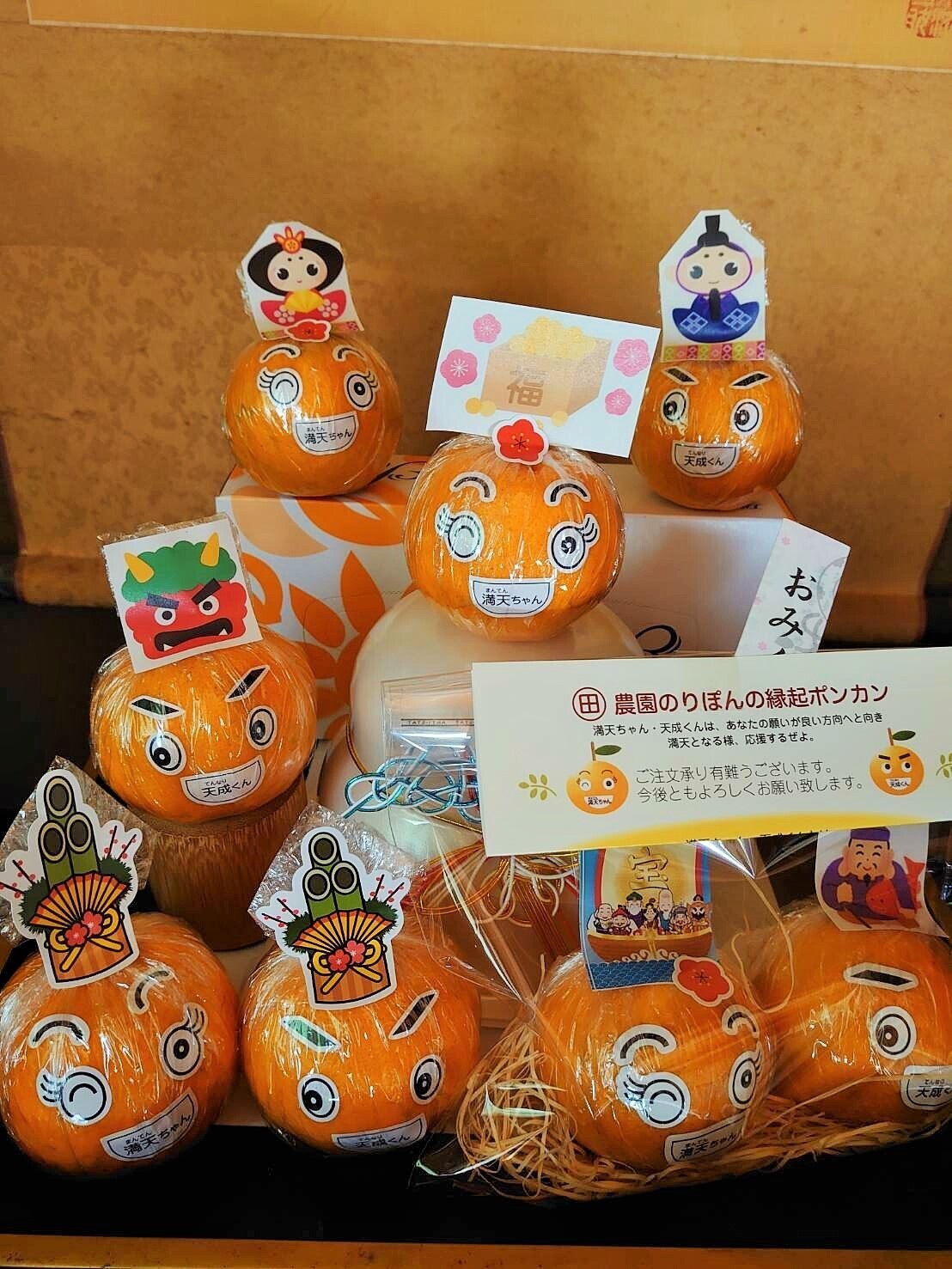 高知県安芸郡東洋町｜のりぽん農園｜伊達紀子さんの生産者プロフィール