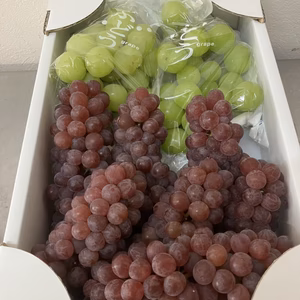 【夏の終わり ぶどう味くらべ2種盛り】瀬戸ジャイアンツ＆デラウェア2キロ1箱