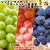 ぶどう3色セット！ シャインマスカット+スカーレット＋泉湧誉