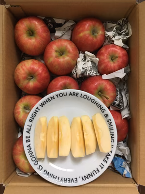 みんなの投稿の画像