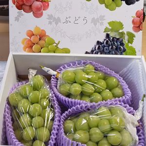 お買い得-秋田産シャインマスカット-3房入り