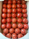 丸かじり！小粒こてらんねぇトマト(2キロ箱)