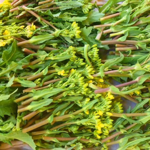 菜花＊ネギ*春うららセット（農薬/化学肥料＊不使用）菜花＝200ｇネギ＝300