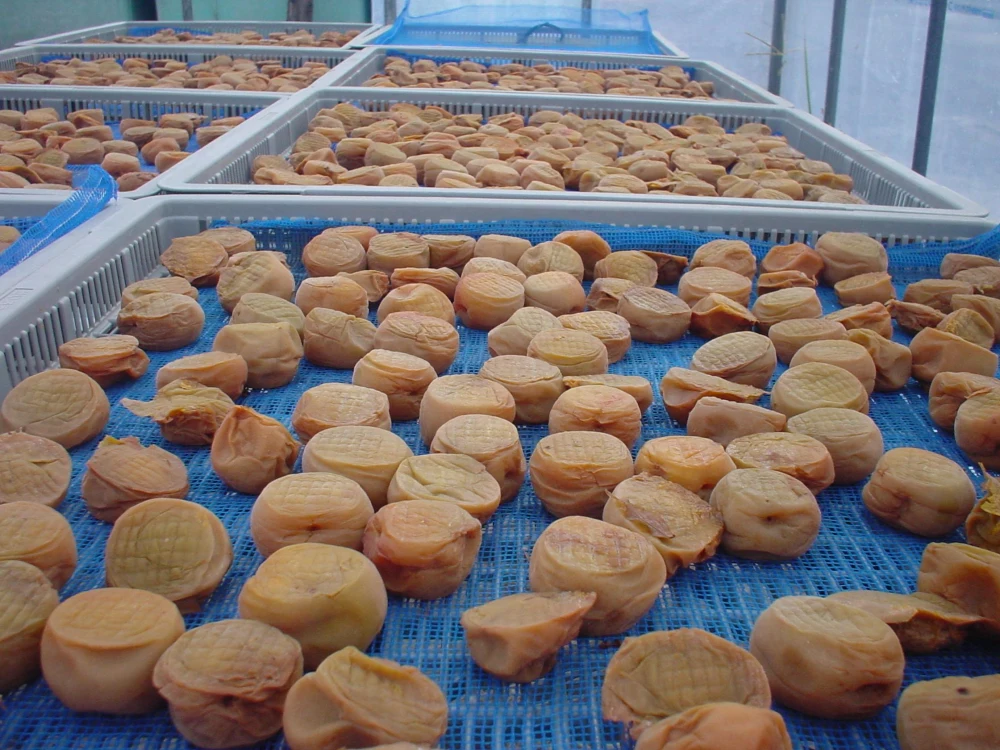 ＜梅干・カリカリ梅セット＞すっぱい白干梅500g・カリカリしそ梅170g