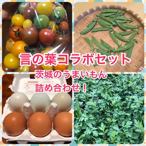 【茨城の魅力を詰め込み】言の葉詰め合わせセット！4月号！