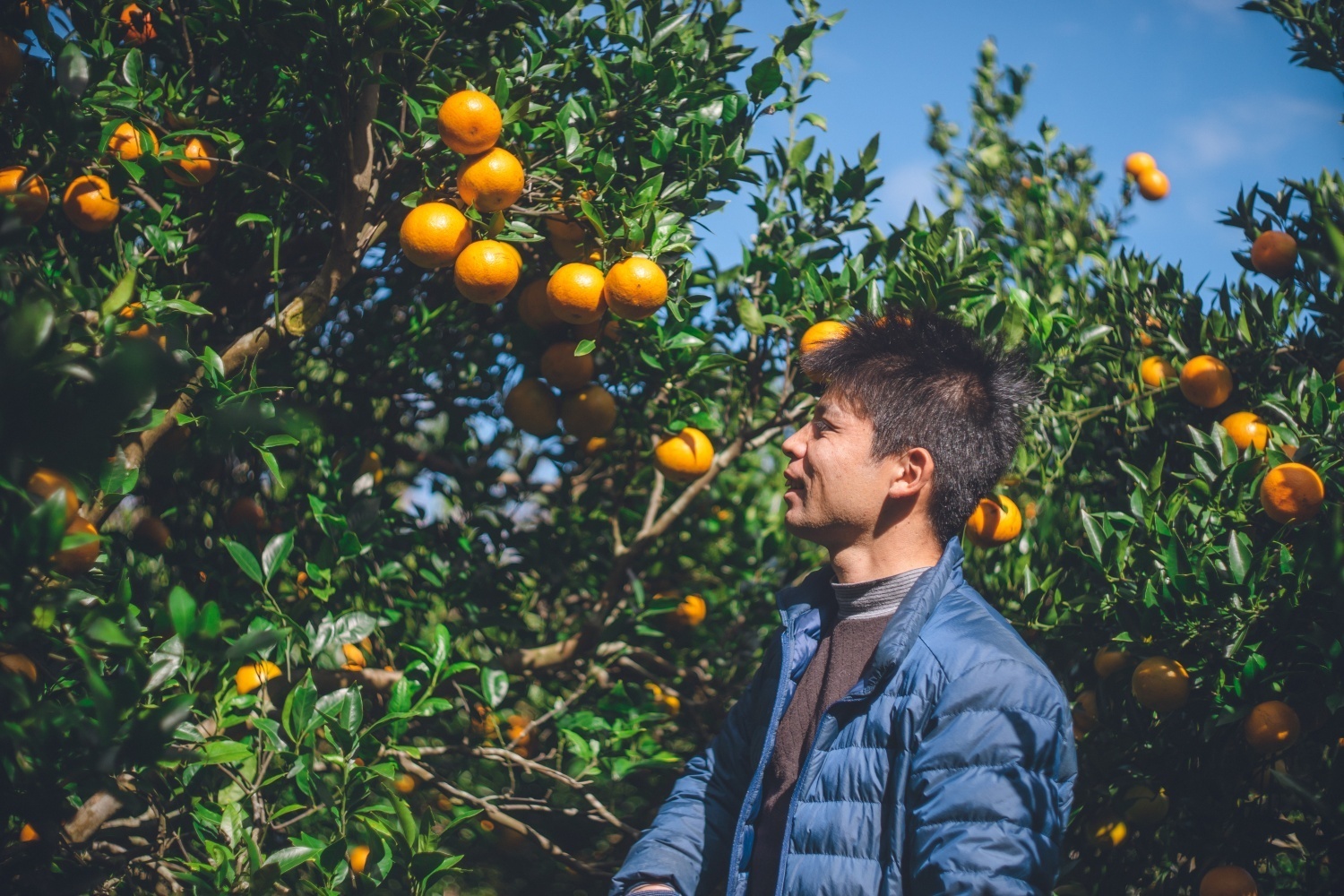 鹿児島県奄美市｜児玉柑橘園｜児玉 旭さんの生産者プロフィール｜ポケットマルシェ｜産地直送で旬の食材が生産者(農家・漁師)から届く