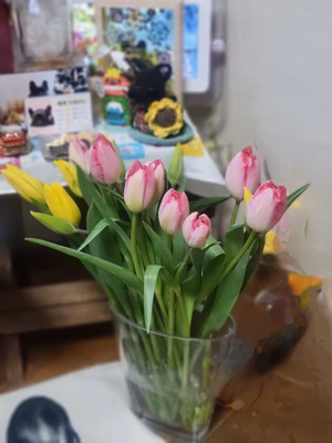 みんなの投稿の画像