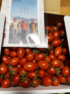 みんなの投稿の画像