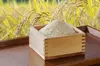 【令和2年度】幻の名品　農薬・化学肥料節減　北海道産　ゆきさやか　玄米5kg入り
