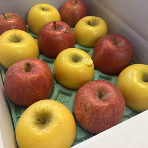 【完熟】 サンふじ＆シナノゴールドの詰め合わせセット 約3kg～10kg