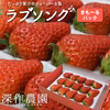 厳選完熟いちご 　ラブソング　苺まも～るパック 