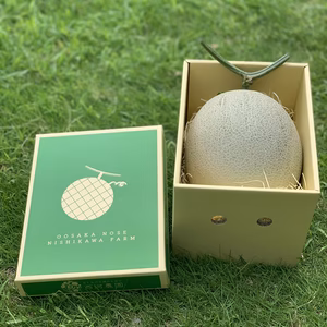 【ポケマルの夏ギフト】7/26〜能勢メロン（クラリス）