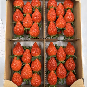 群馬のやよいひめ　280g×4P 食べごたえ抜群！