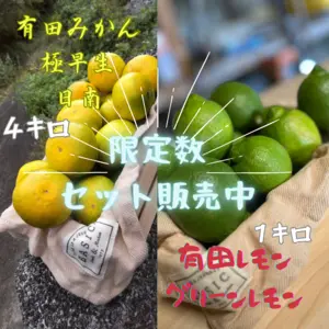 果物の日南の商品一覧(3ページ目)｜ポケットマルシェ｜産直(産地直送