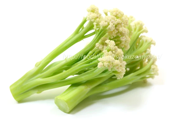 珍しいヨーロッパ野菜と旬の野菜のセット（11月後半）