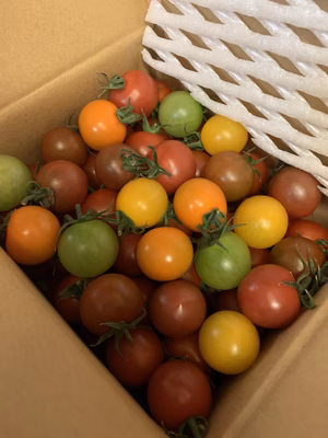 みんなの投稿の画像