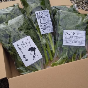 ルッコラと春菊と空芯菜のセット(計5袋)