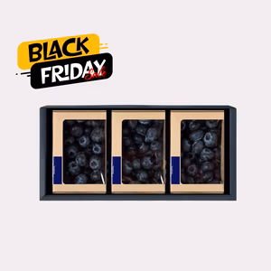 ★セール中★【冬の国産生ブルーベリー】100g×3pc〈トヨヒルセット【C】〉