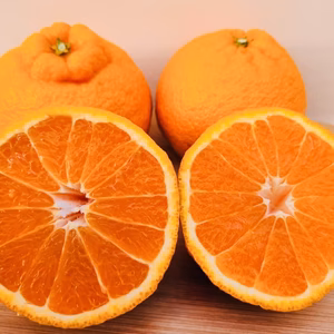 不知火　訳あり2.5キロ