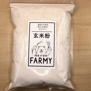 玄米粉 1kg（自然栽培イセヒカリ）微細粉末