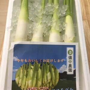 秋が旬！マコモタケ