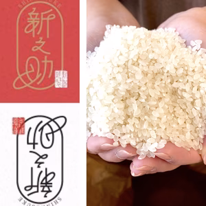 【精米】食べ応え抜群な新潟市産　新之助　