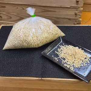 【自然栽培の玄米使用】やさしいKOJI 玄米麹（生麹）