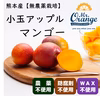 【希少な無農薬栽培】食べ切りサイズのアップルマンゴー（熊本産・ワケあり・小玉）