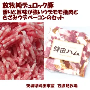【追加購入用】挽肉、きざみウデベーコンセット