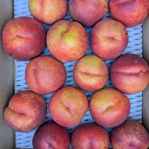 甘いネクタリン 　スィートトップ 訳あり 約３Ｋ