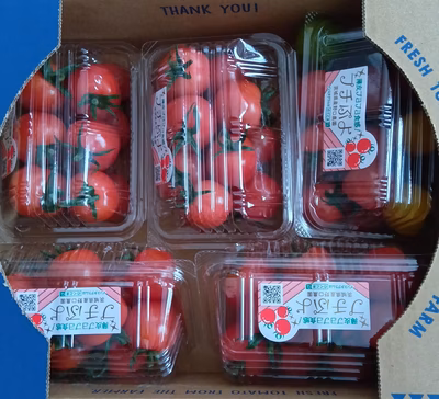 みんなの投稿の画像