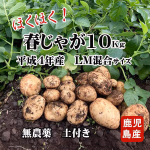春じゃがいも(ニシユタカ)　無農薬　掘りたて10kg 土付き
