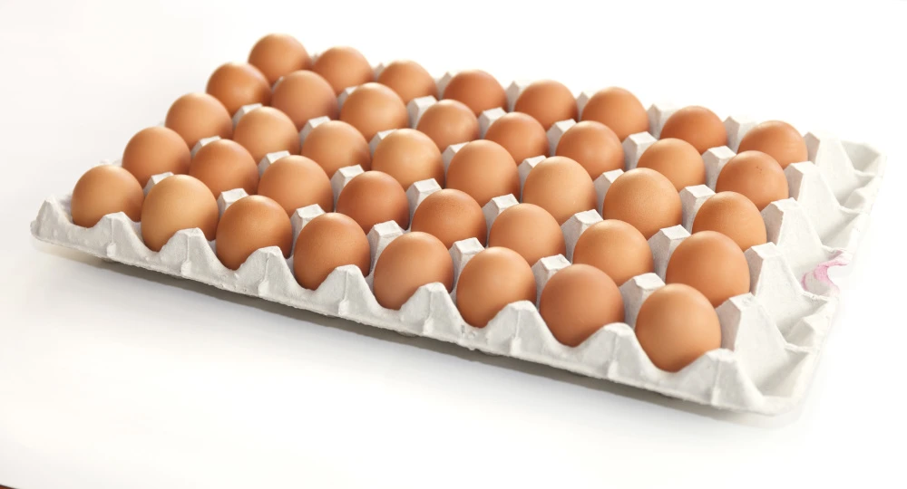 【訳あり】業務用加工卵　40玉　平飼い有精卵・大地の卵※割れ保証2個含む
