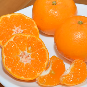 甘さと酸味がやみつき！★はるみ★薄皮ごと食べられる柑橘★