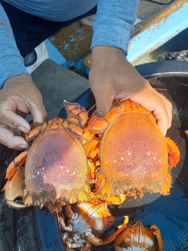 鵜戸水産