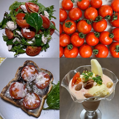 みんなの投稿の画像